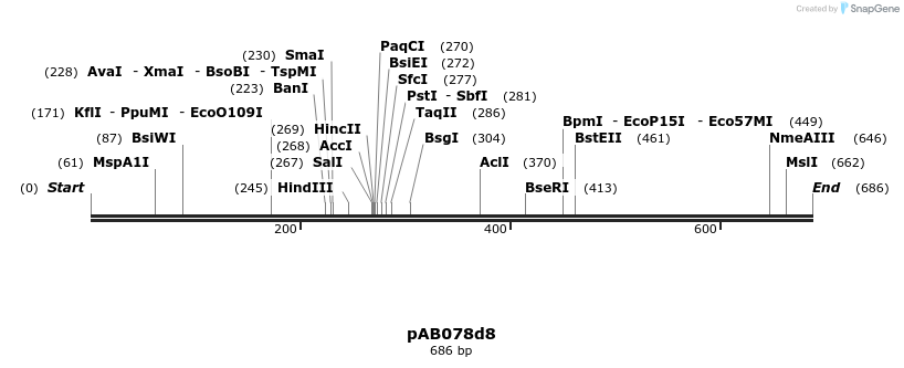 151272_map
