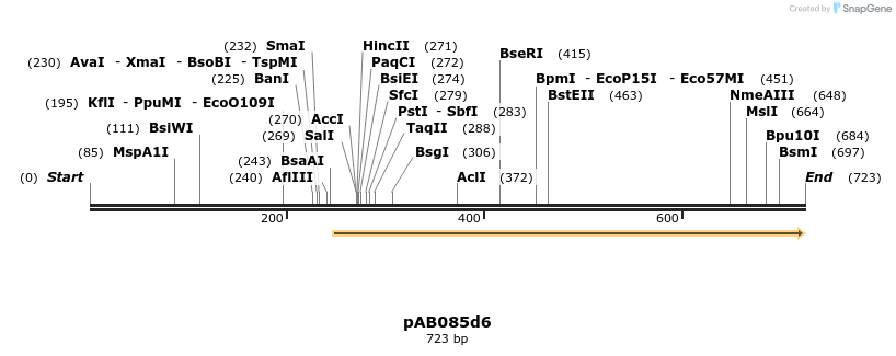 151280_map