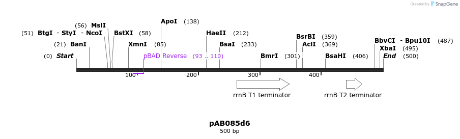 151281_map