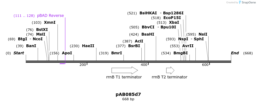 151284_map