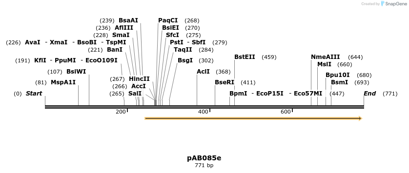 151285_map