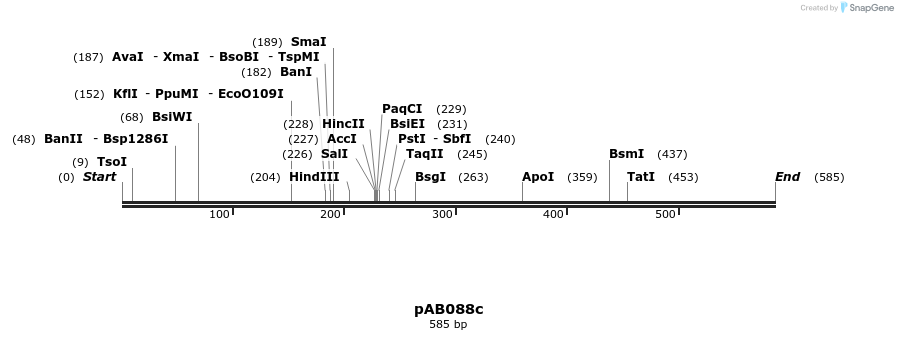 151287_map