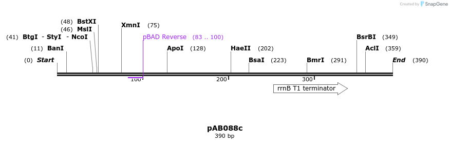151288_map