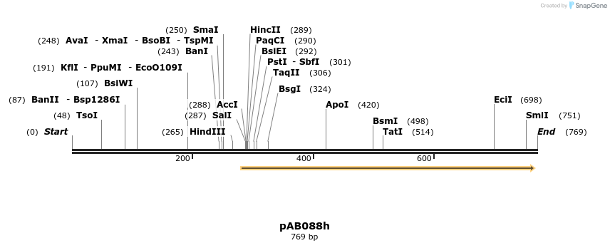151292_map