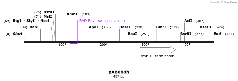 151293_map