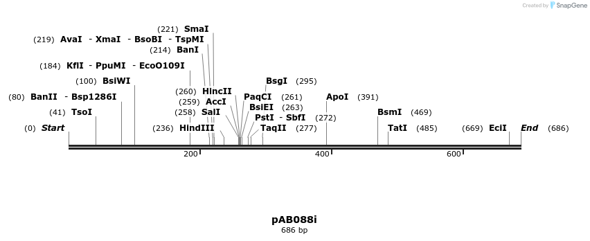 151294_map