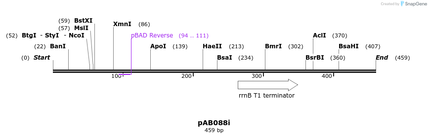 151295_map