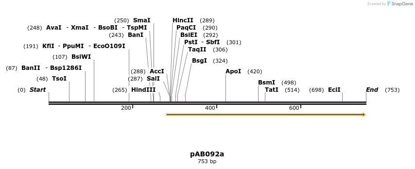 151296_map