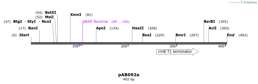 151297_map
