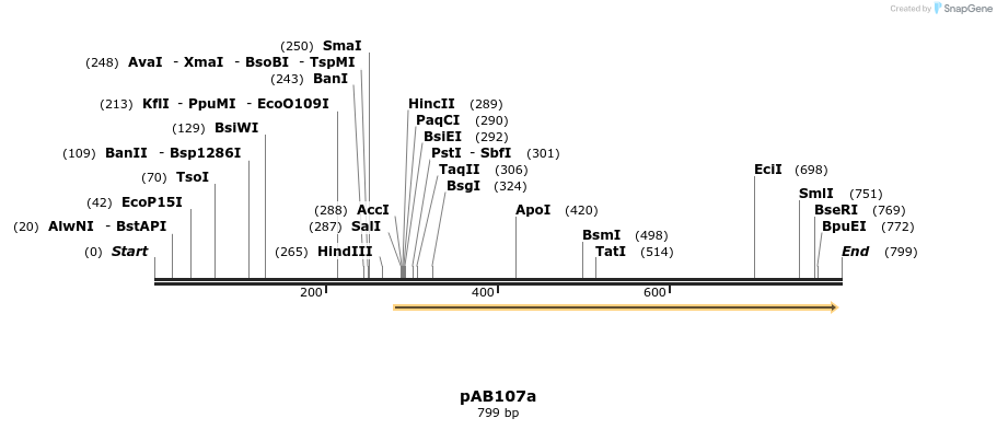 151298_map