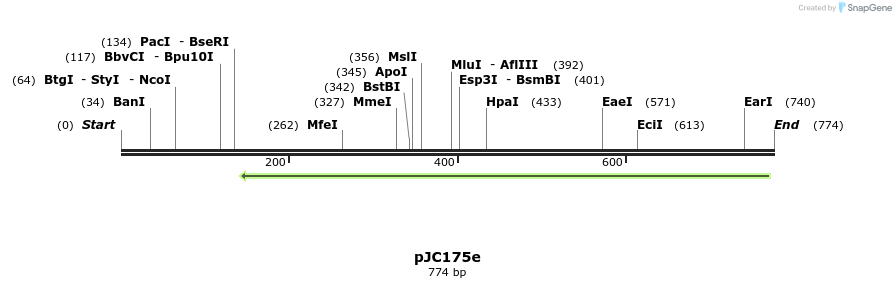 151302_map