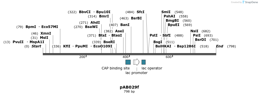 151303_map