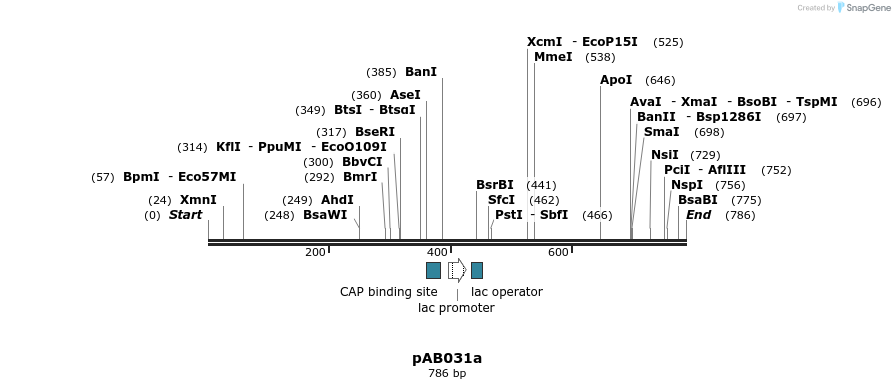 151305_map