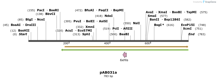 151306_map