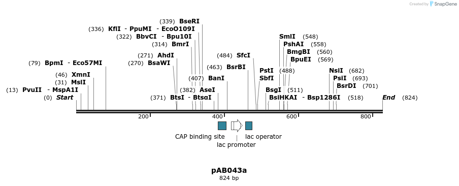 151307_map