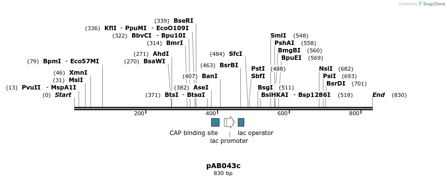 151310_map