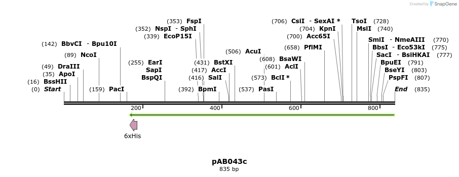 151311_map