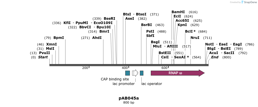 151312_map