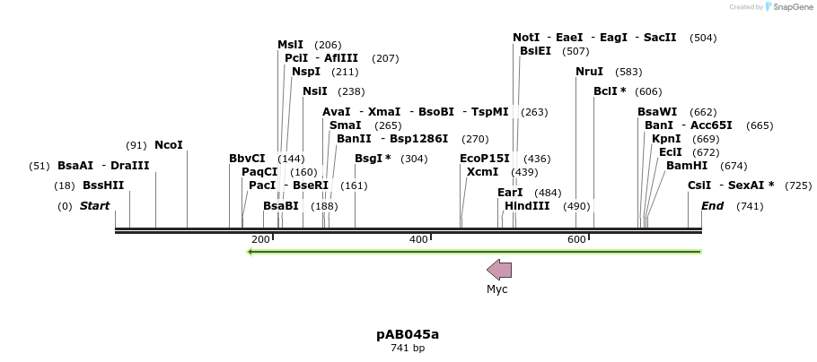 151313_map