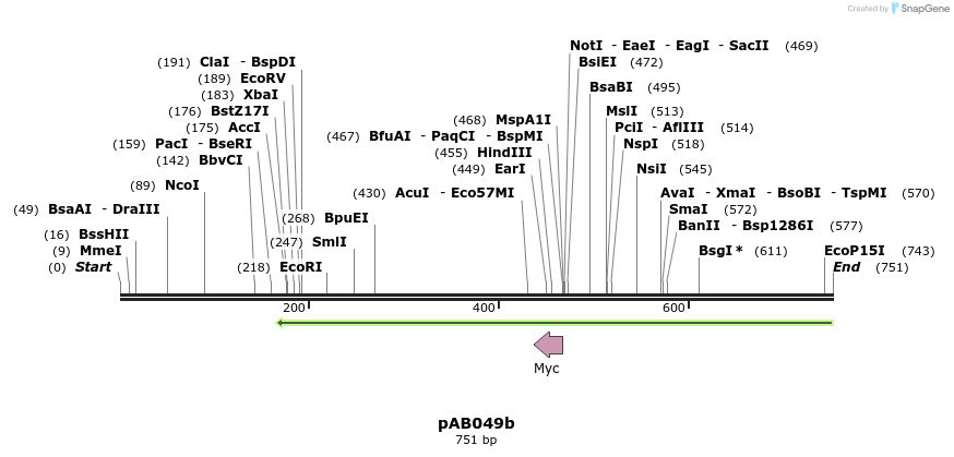 151315_map