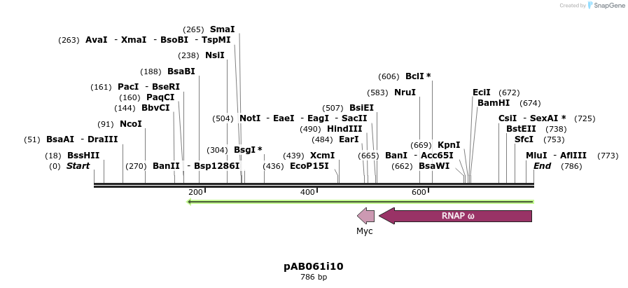 151321_map