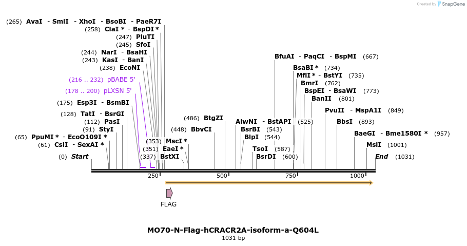 151322_map
