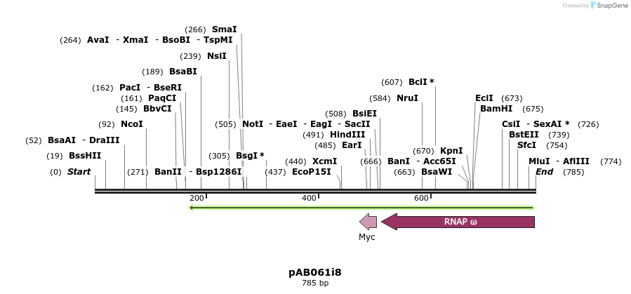 151332_map
