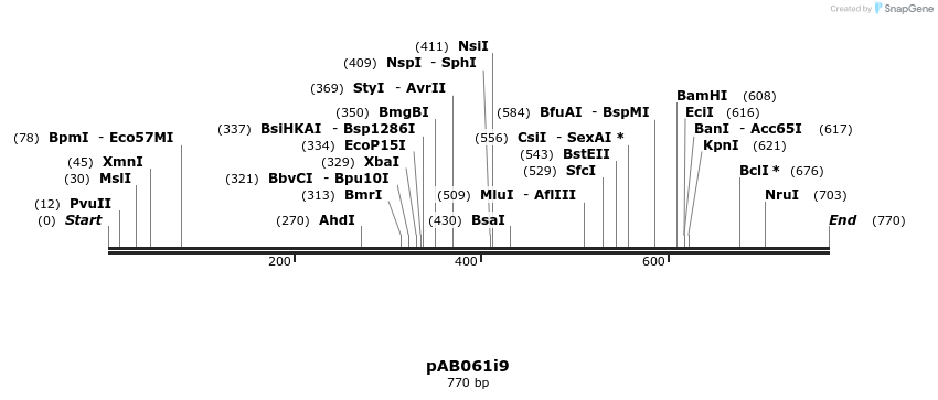 151333_map