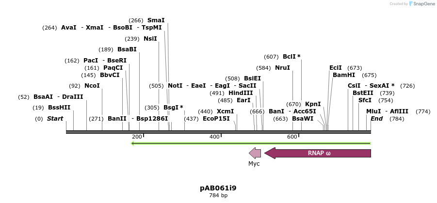 151334_map