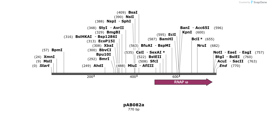 151335_map