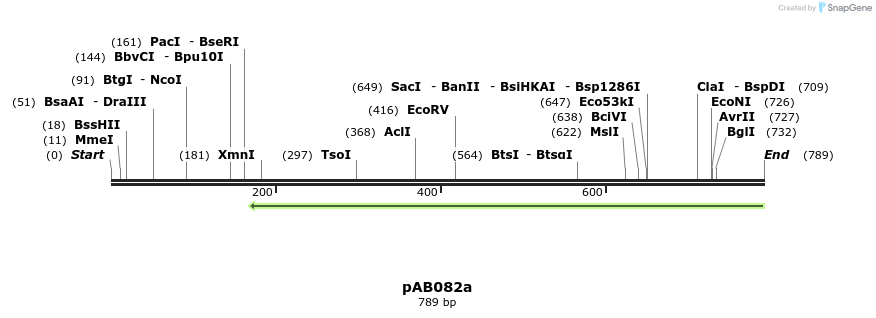 151337_map