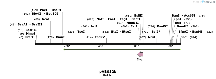 151339_map