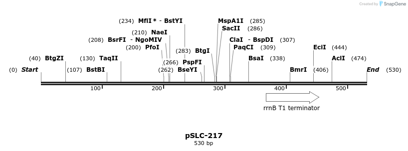 151342_map