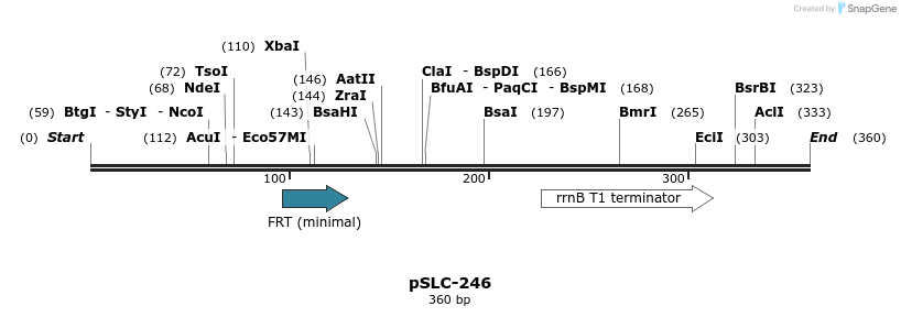 151364_map