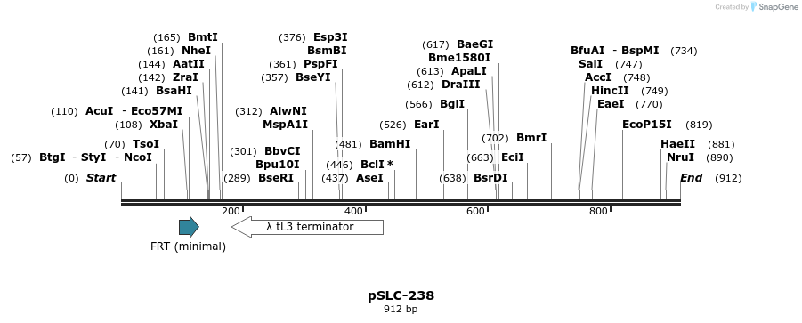 151370_map