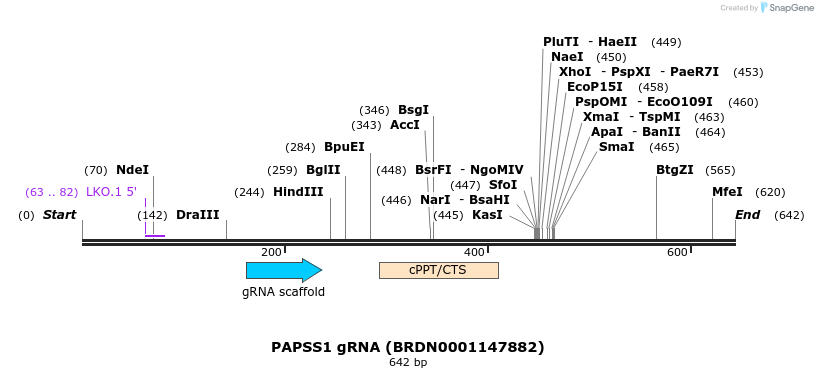 151371_map