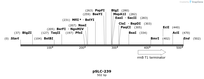 151374_map