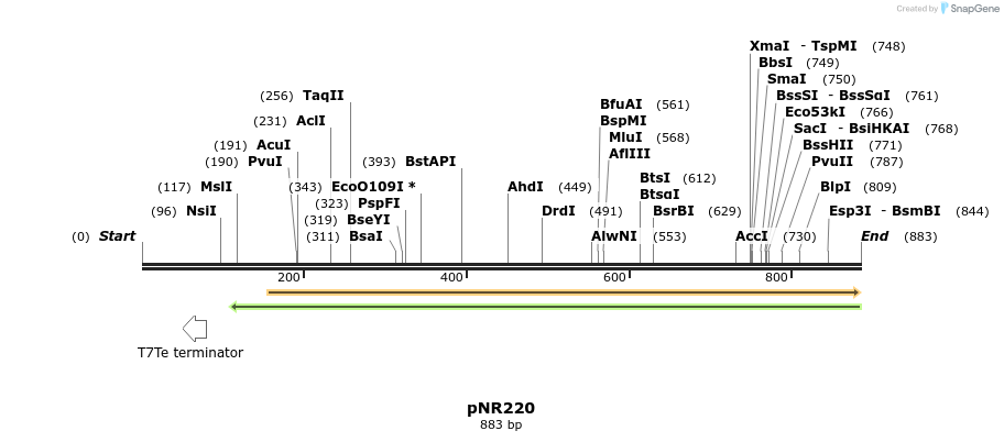 151388_map