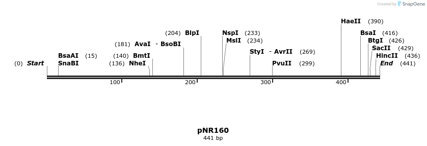 151389_map