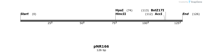 151392_map