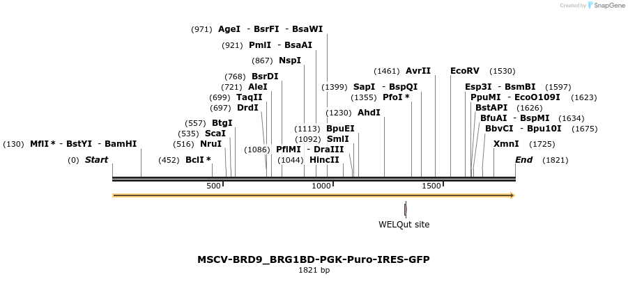 151394_map