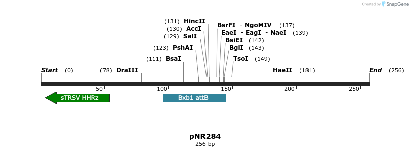 151396_map