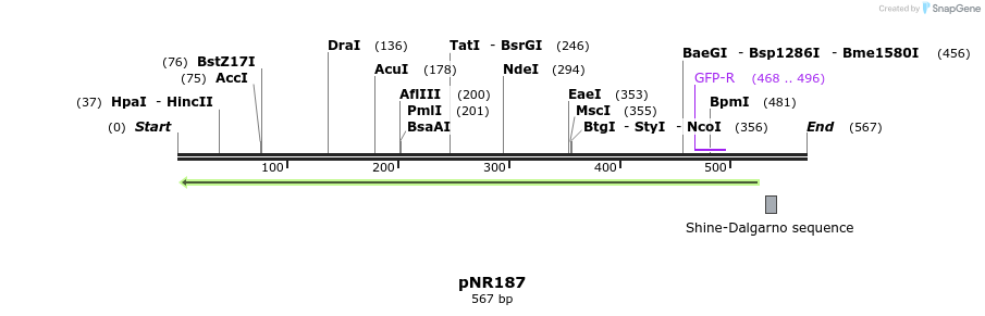 151398_map