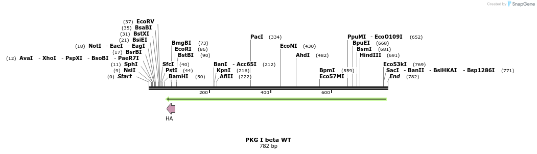 151429_map