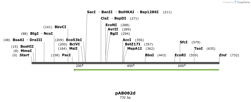 151461_map