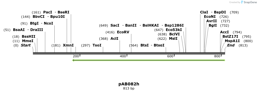151466_map