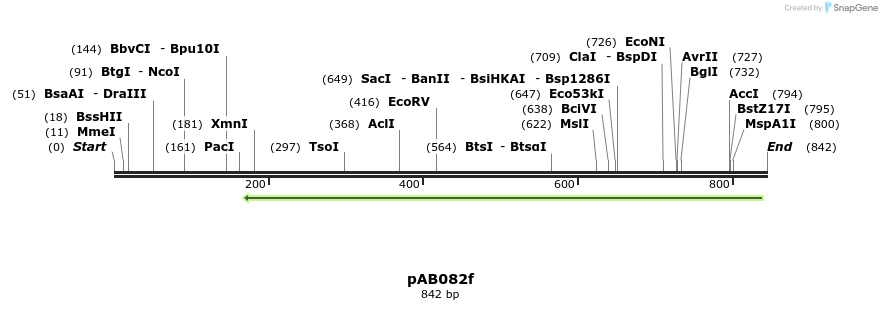 151475_map