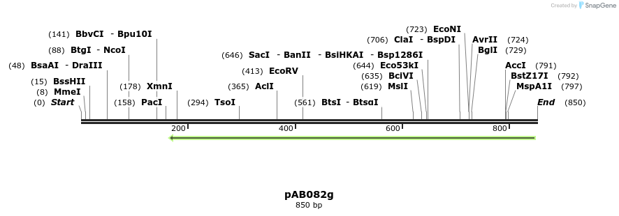 151477_map