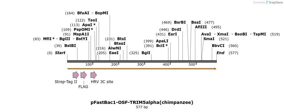 151484_map