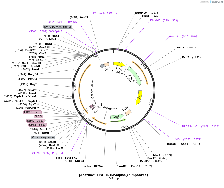 151490_map